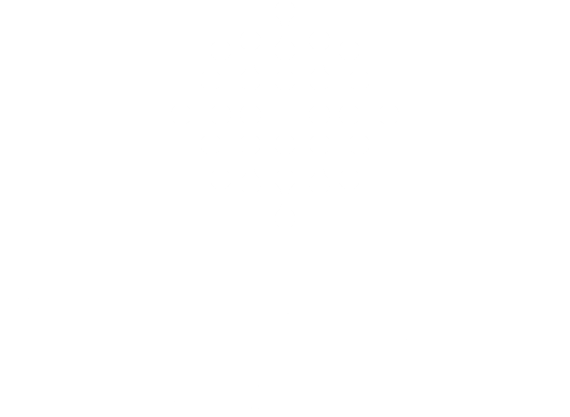 NetBOSS Services